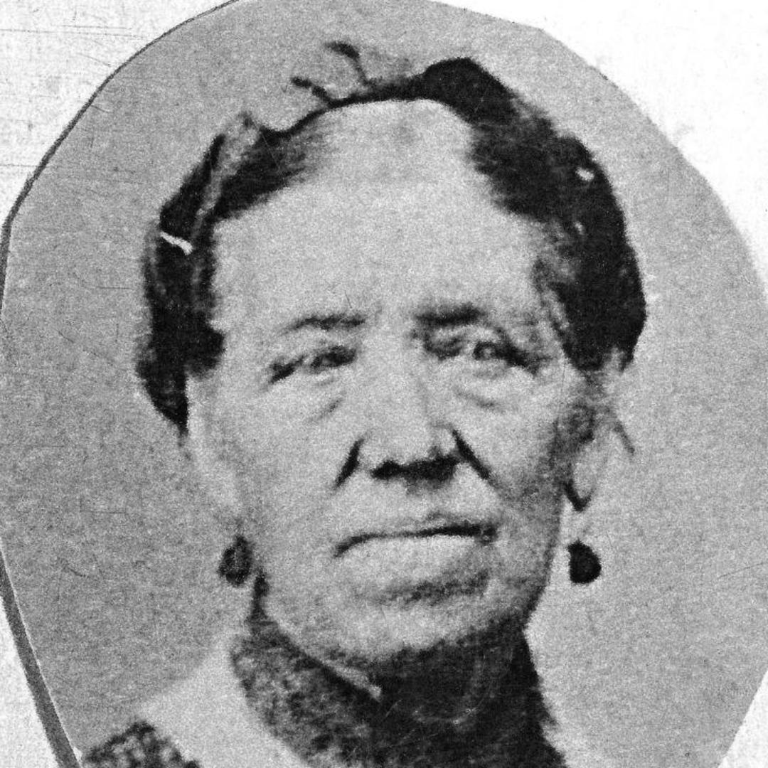 Susanna Vine (1801 - 1887) Profile